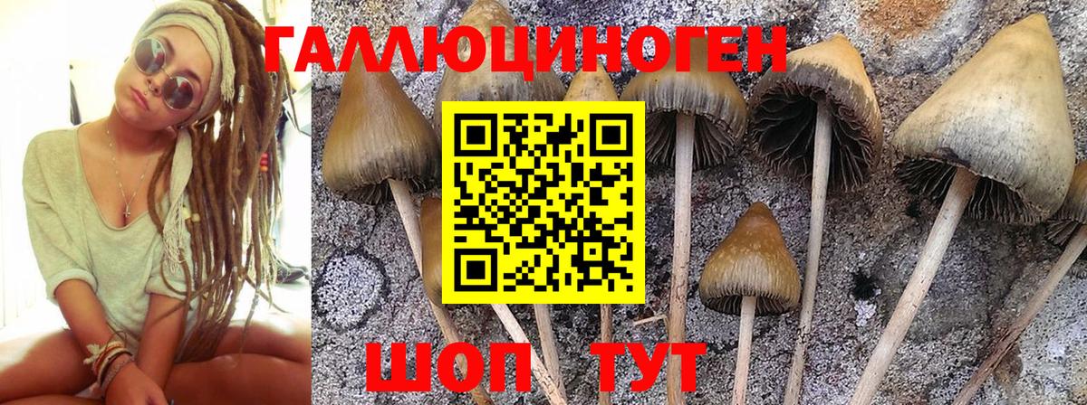 Краснокаменск  Галлюциногенные грибы MAGIC MUSHROOMS  Вход с VPN 